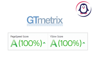 چرا جی تی متریکس کاربران ایرانی را تحریم نکرد، آیا تصمیمش را تغییر داد؟