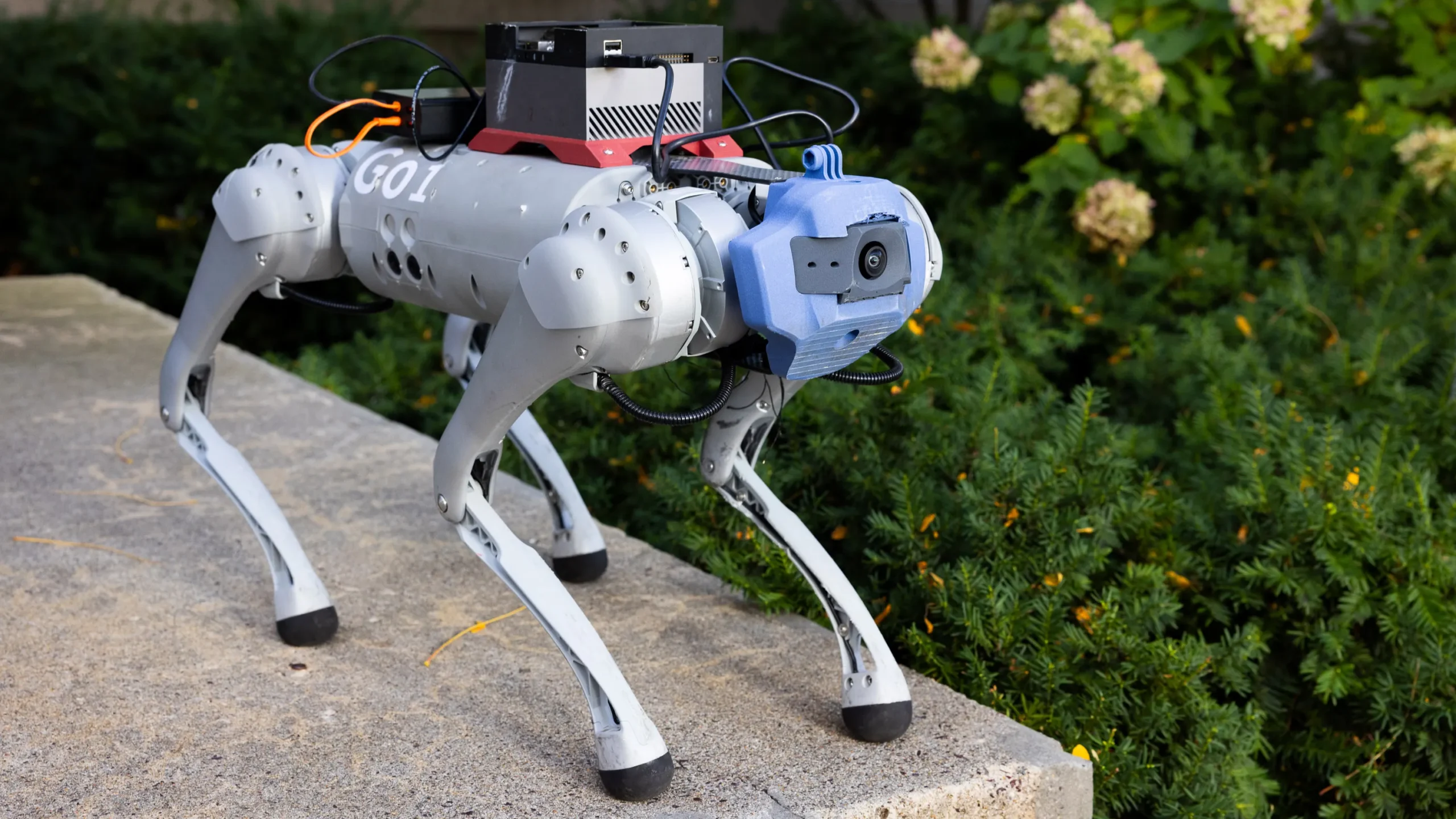 Generative AI taught a robot dog to scramble around a new environment | MIT  Technology Review