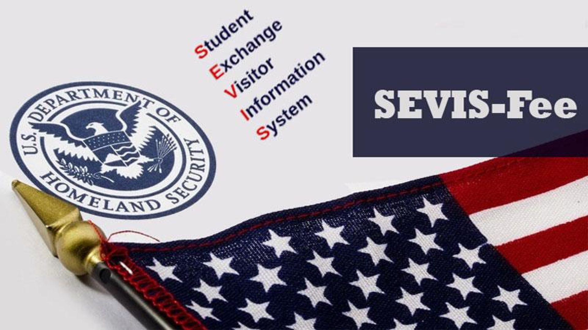 تفاوت سویس فی با سایر هزینه‌های ویزای آمریکا