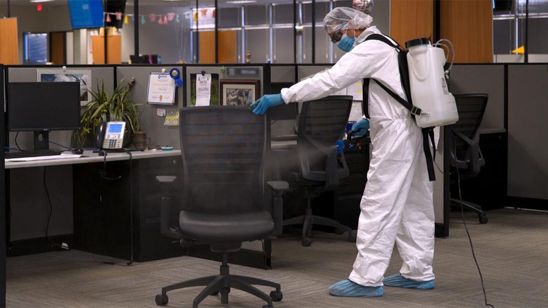 معرفی 5 شرکت سمپاشی دارای مجوز وزارت بهداشت