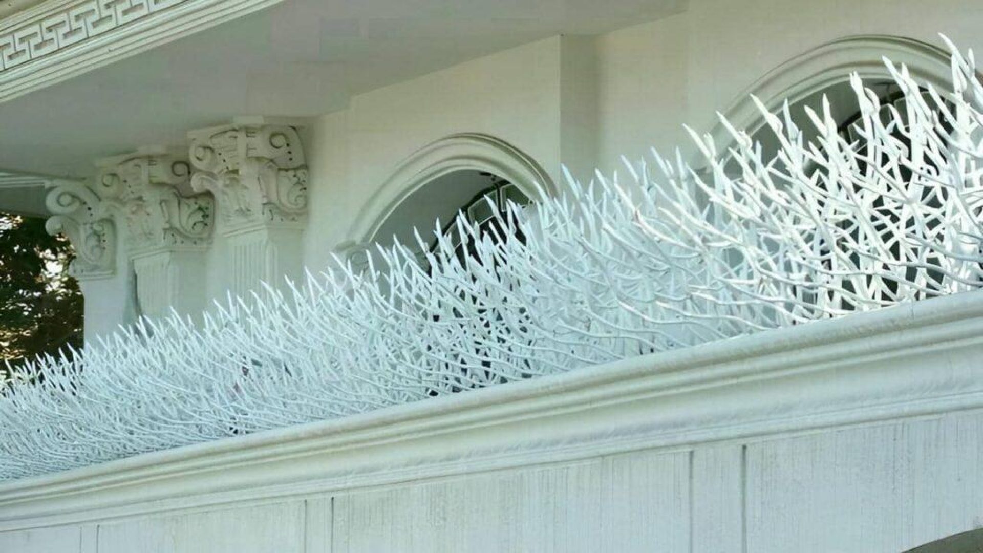 خرید حفاظ روی دیوار: راهنمای کامل